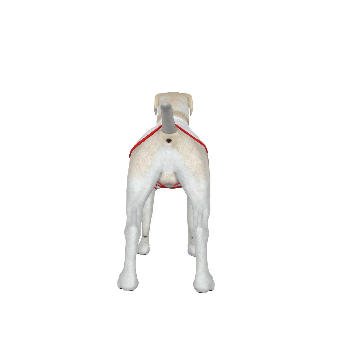 CAN- Anti Woke Pets - Big Dog's Tank Top